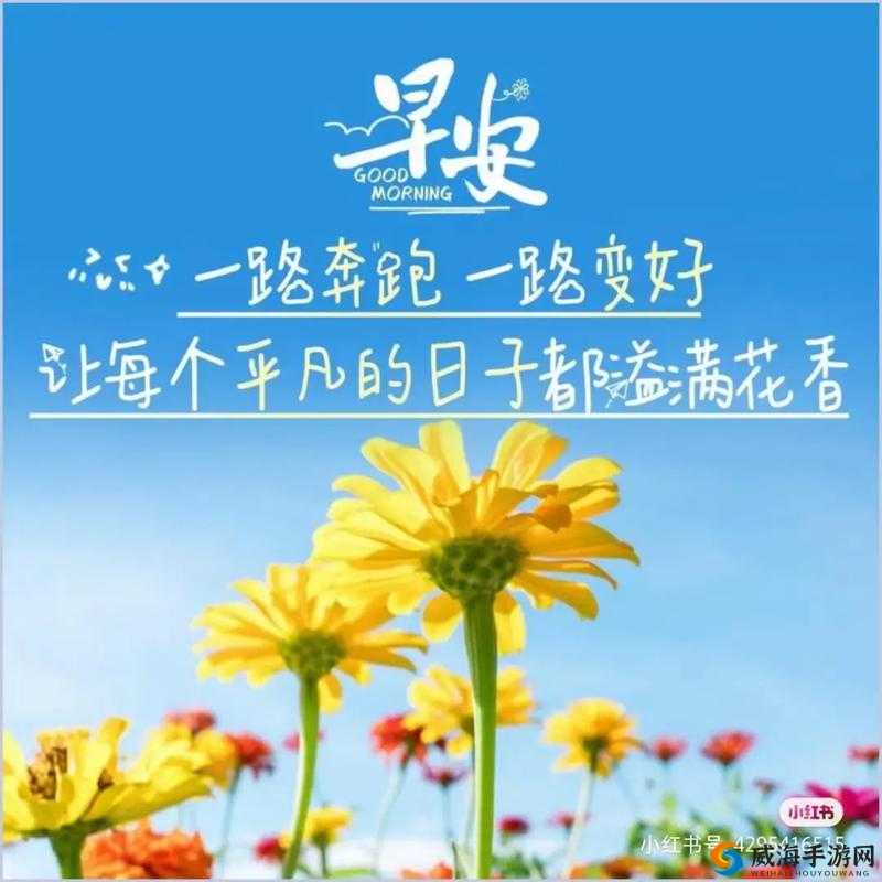 日产一二三四十入岁区:探索人生不同阶段的美好