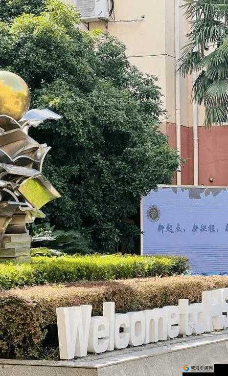 已满十八点此自动转 2024：开启新征程