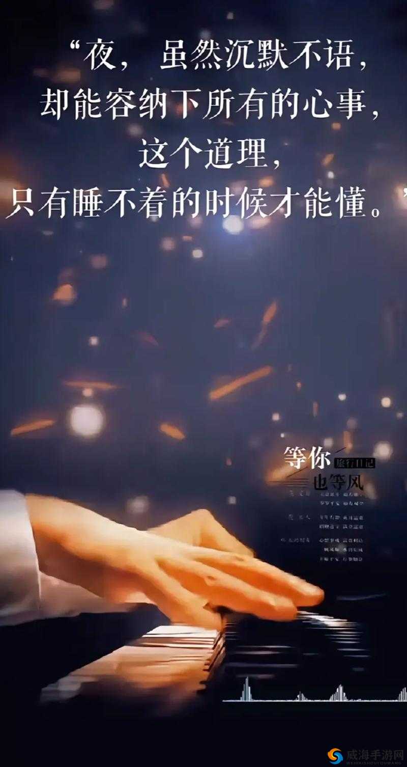 晚上睡不着偷偷看 B 站大全:海量视频等你探索