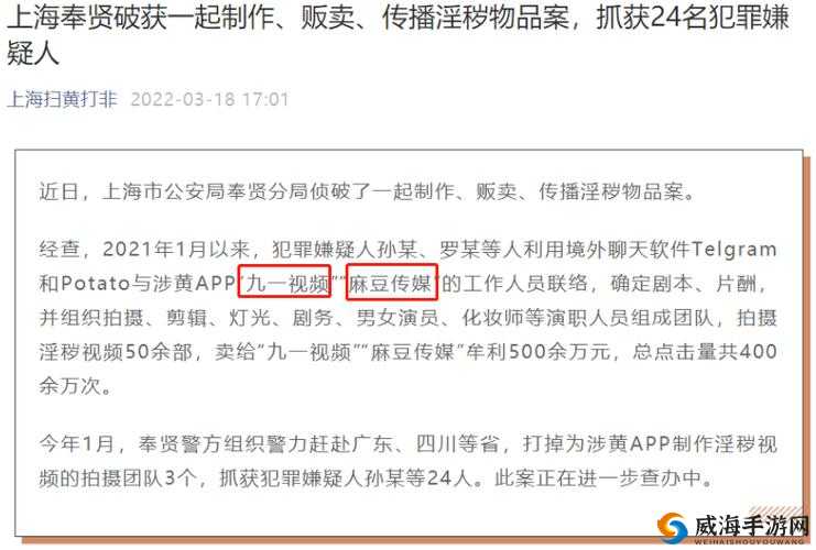 麻豆视传媒官方网站入口下载：需警惕非法内容
