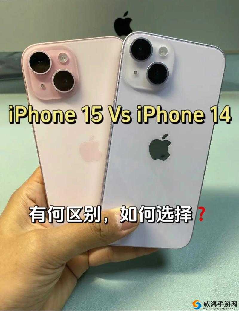 露露亚洲版和国际版有何区别