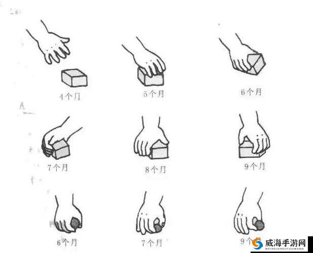 扣那里的手势图 100 个：精彩呈现