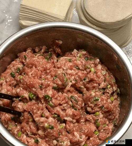 课后辅导肉馅小水饺：美味与知识的双重收获