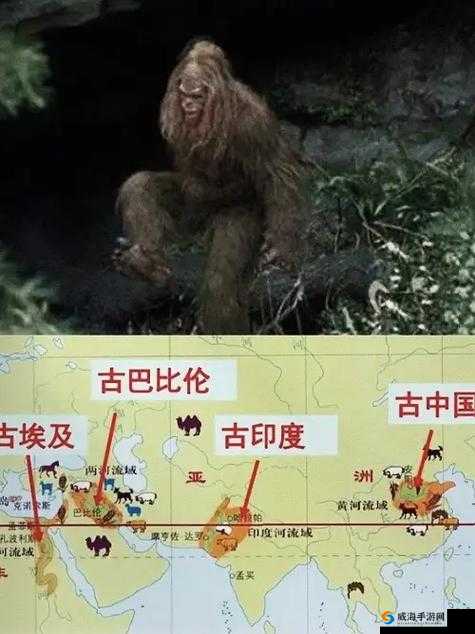 51 无人区码一码二码三码，探索神秘之地的必备指南