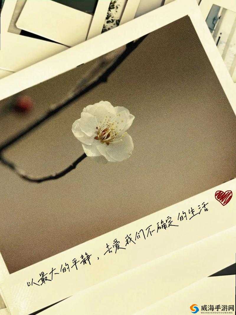 老王头的春天林初晴最火的一句：爱让生活充满希望