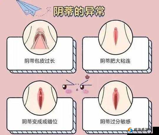 八爪鱼紧缩术效果：紧致私密，提升性福