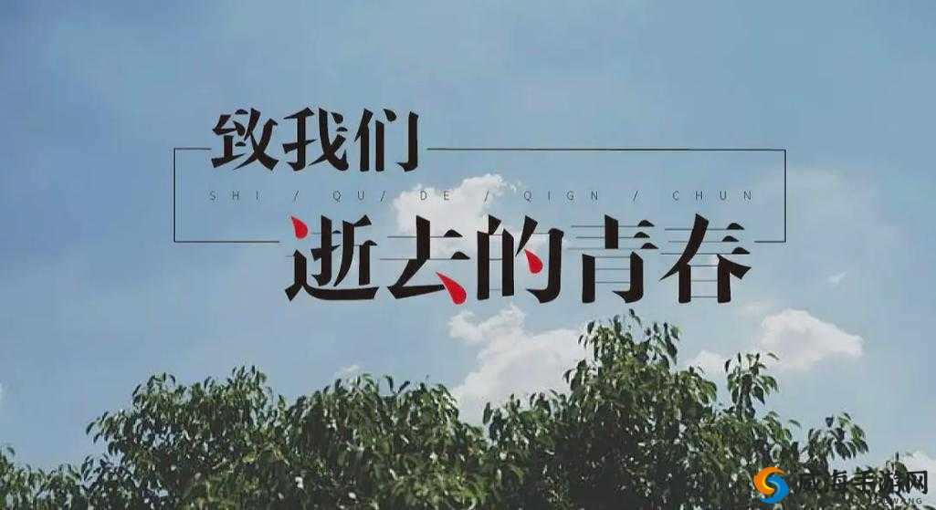 男生女生一起相嗟嗟嗟 2024：共同的青春记忆