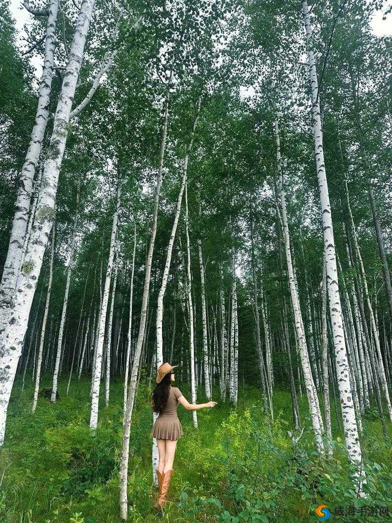 迈出腿：品尝你的森林