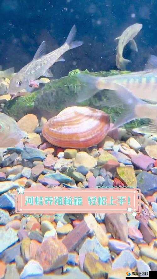 全民农场隐藏成就动物篇 超详细玩法攻略助你轻松成为养殖达人