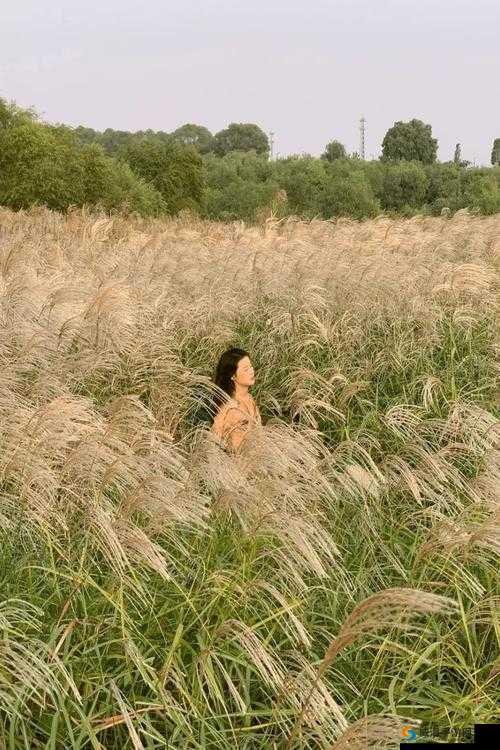 伊甸园精品 99 久久久久久：极致之选