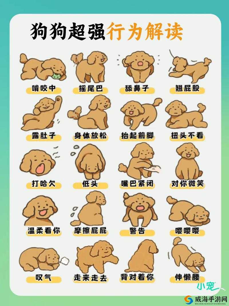 无限法则阿方索获取指南：解锁超强角色的必备攻略