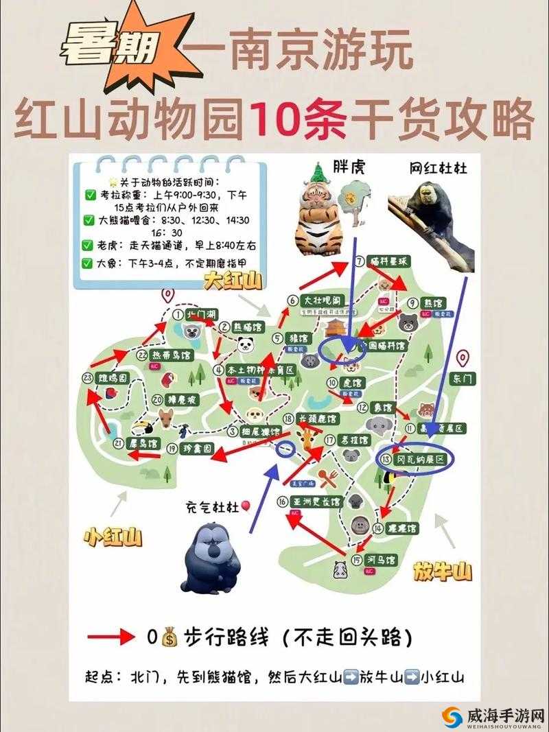 推理学院之动物园大揭秘 全方位解析森林服装专属攻略带你畅游游戏世界