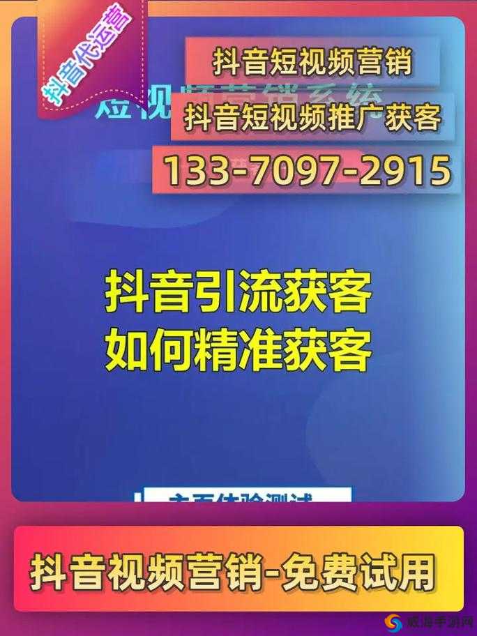 seo 短视频网页入口引流：抓住流量密码