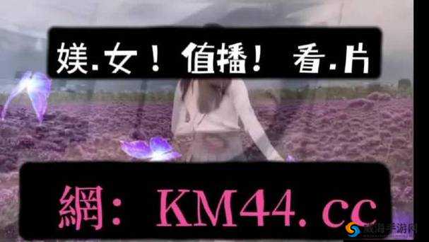 无线乱码 A 区 B 区 C 区 D：区域解析