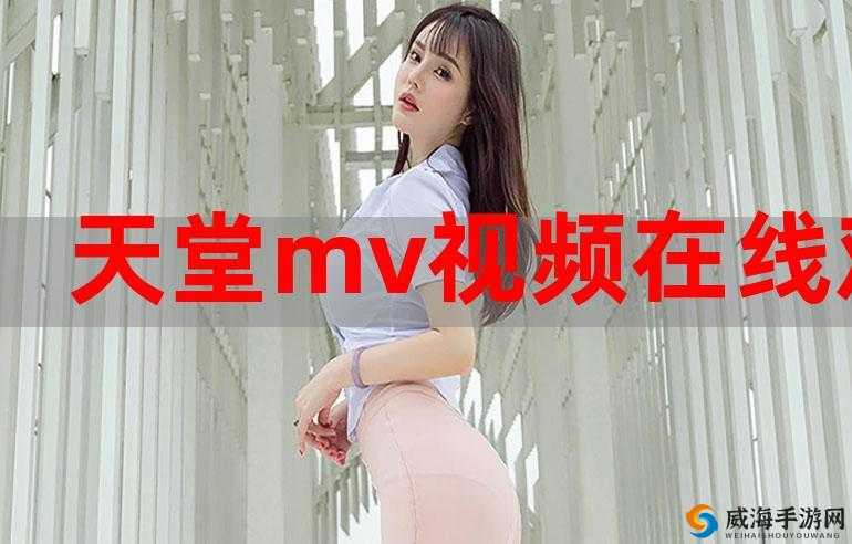 欧美MV日韩MV国产网站：精彩音乐视频荟萃