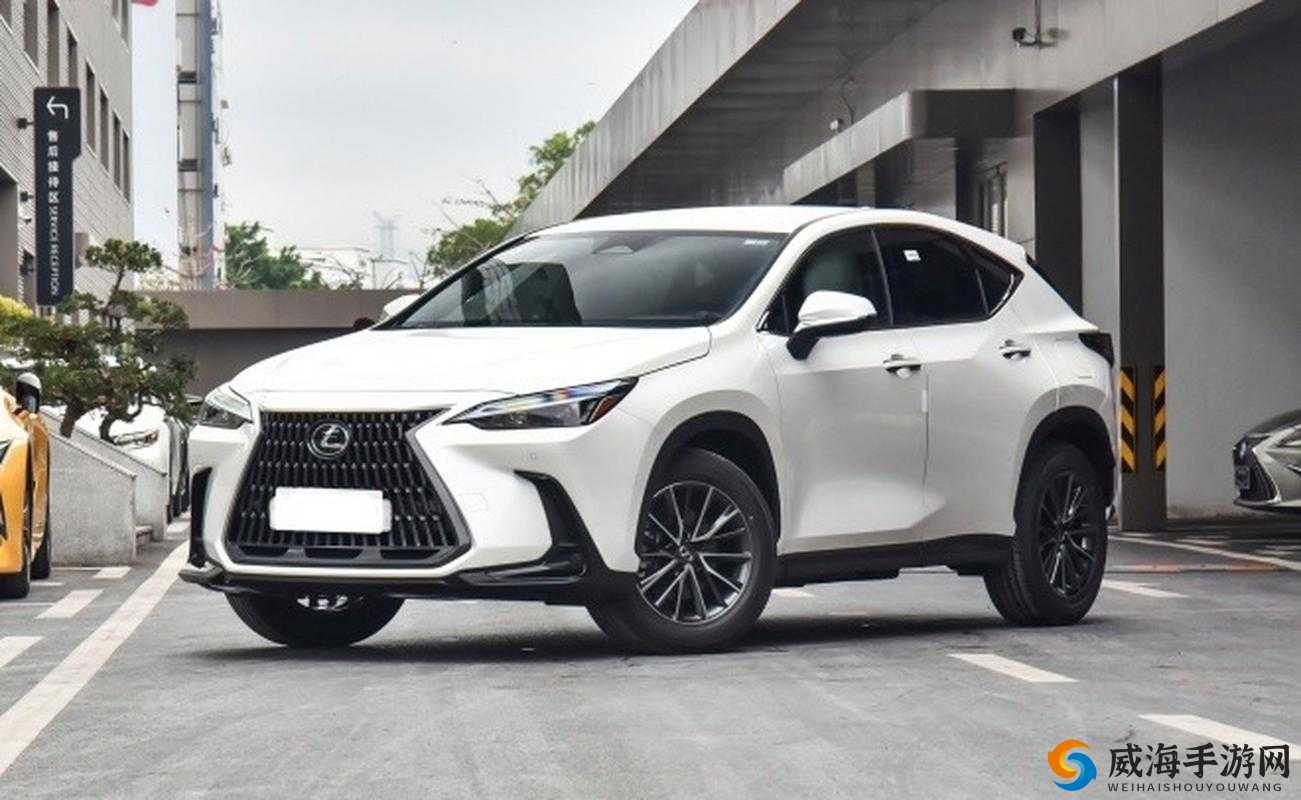 2024 年热门 SUV 推荐:这几款不容错过