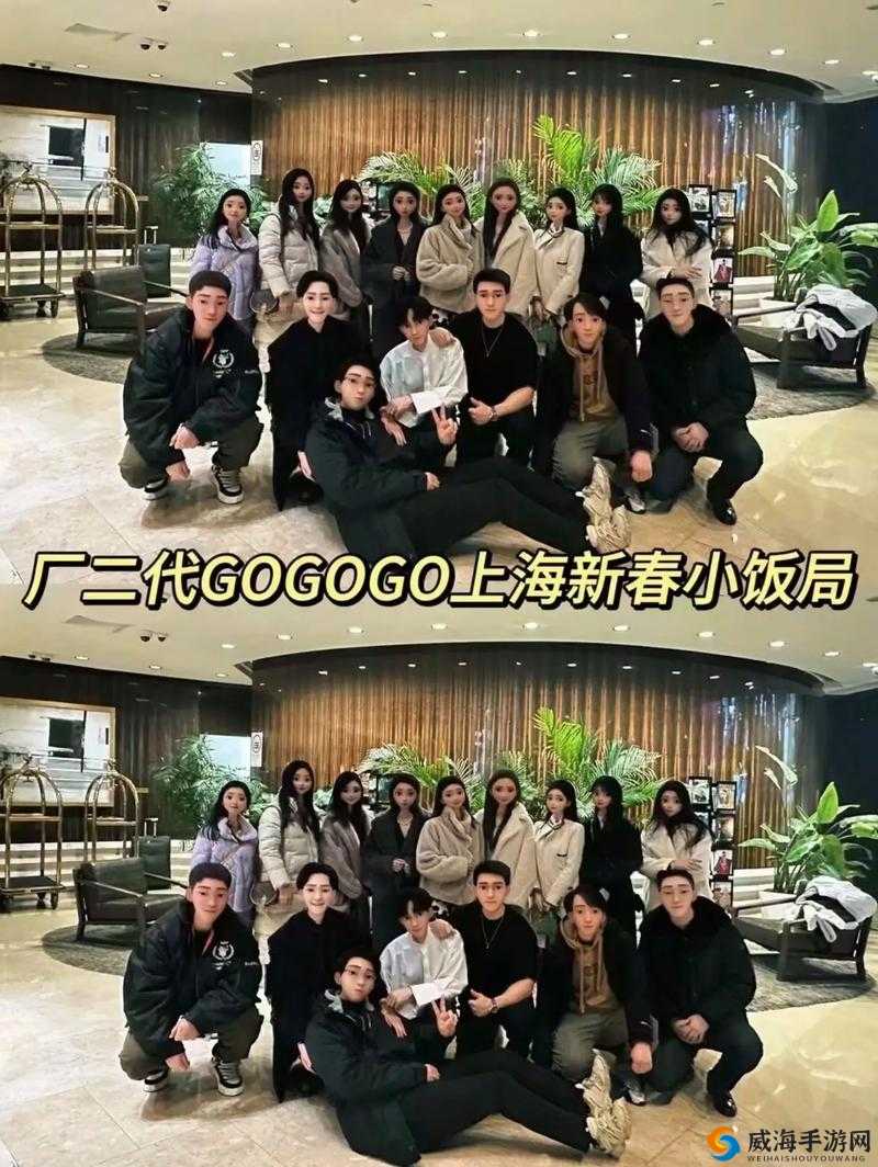 gogogo 中国剧情介绍与评价:加入多线路模式