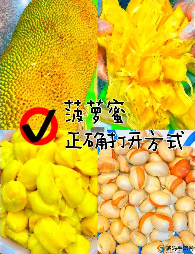 亚精产品一三三三菠萝蜜：香甜可口的美味水果