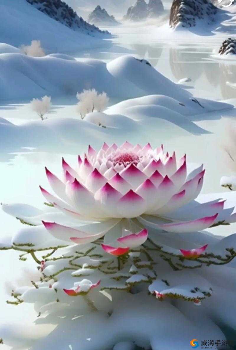 女人半夜莲花开：一种生理现象的探讨