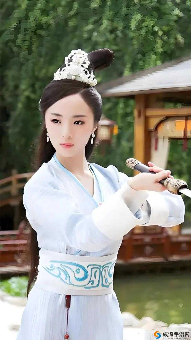 封剑神录布阵系统全解析从新手到高手的布阵技巧与策略指南