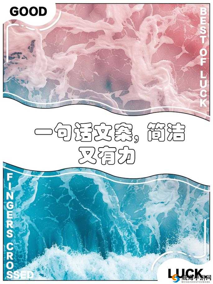 by 网站进入渠道：发现精彩世界