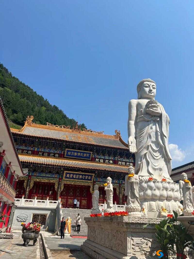 王氏寺庙快活几天：这是怎样的体验