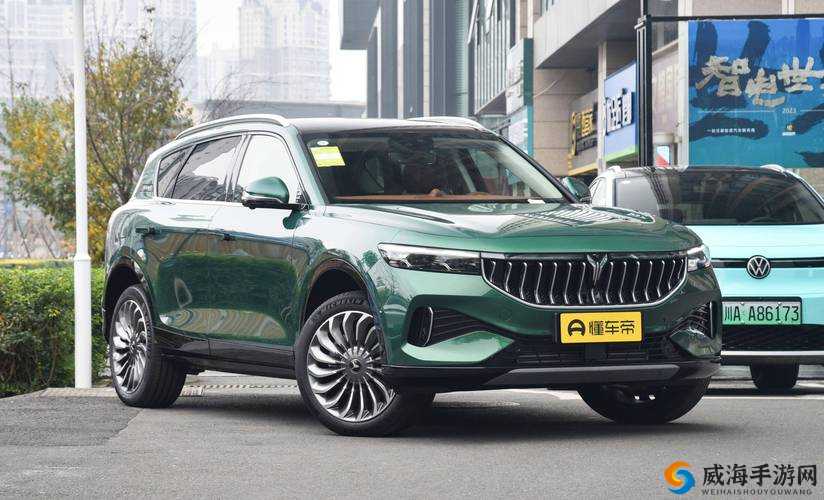 国产 SUV 精二区 69：探索未知的驾驶乐趣