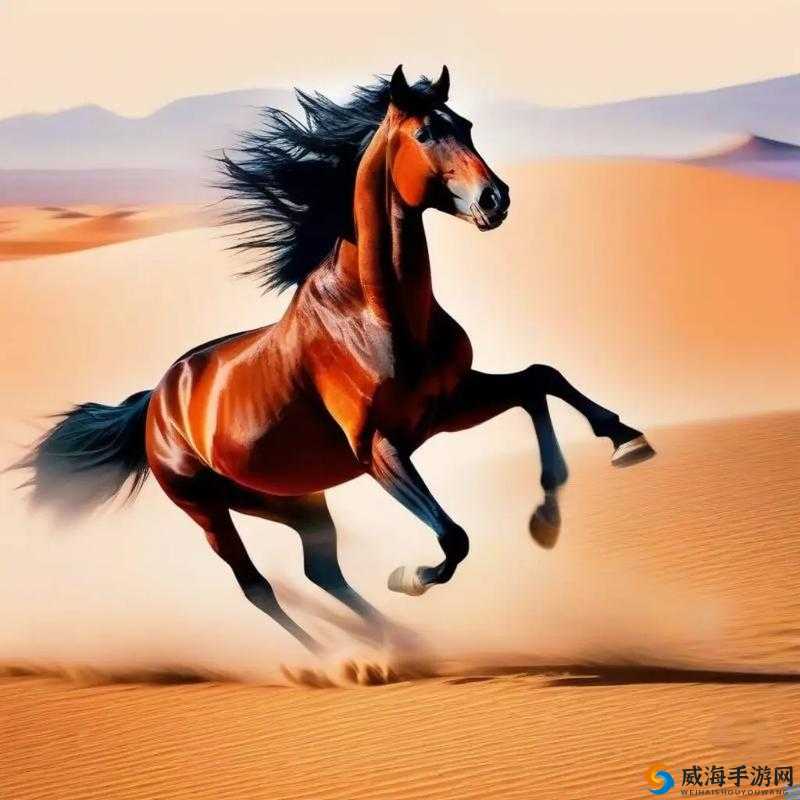 随着马儿奔跑深入探索之旅