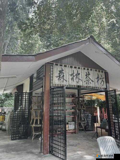 百性阁百性茶坊：传统茶坊的独特魅力