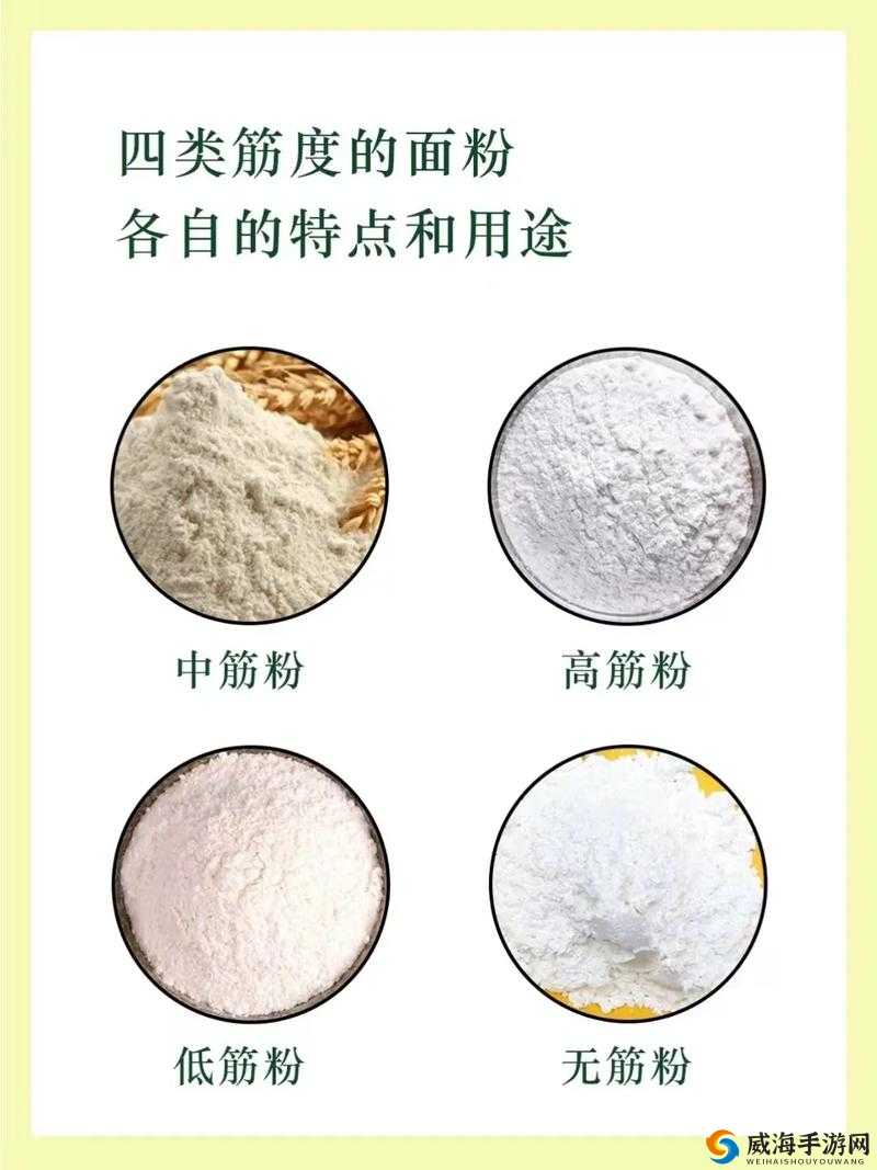 长生诀阴阳效果大揭秘：你所不知道的区别