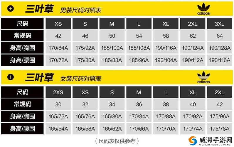三叶草尺码与欧洲码 966：尺码奥秘解析