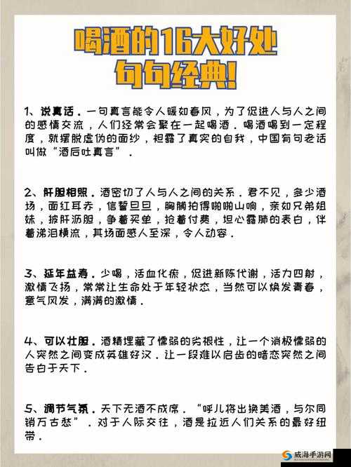 大掌门 2 中喝酒的作用与好处详细解析