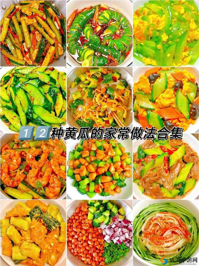 尔康金锁厨房黄瓜辣椒酱:美味与情怀的完美结合