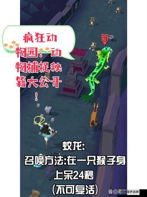 疯狂动物园中各类珍稀奇特动物的全方位详细捕捉技巧指南