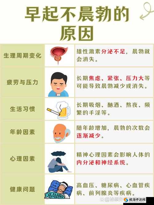 晚上硬不起早上又可原因:生理现象探讨