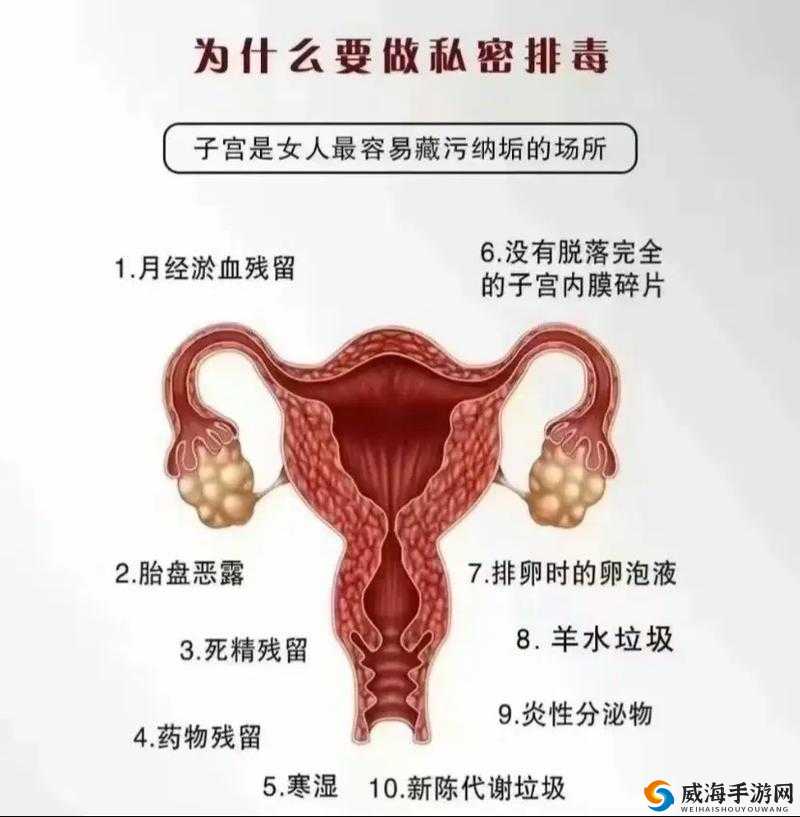 女性私密部位护理指南：舔舔下面的正确方法