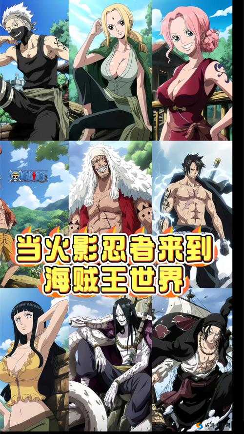 海贼火影之争：宝物的征途对决