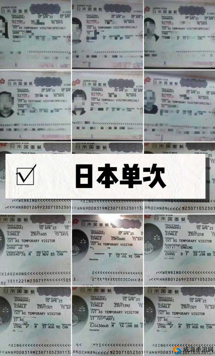 japanesevisa 申请攻略