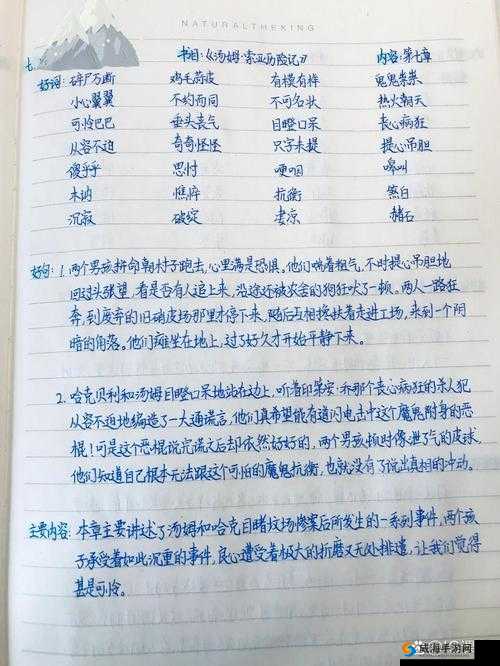 玩转会说话的汤姆：高手心得分享，获取高分策略揭秘