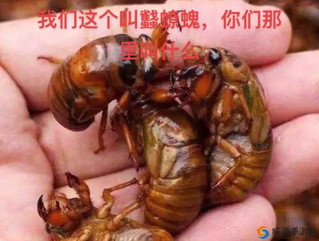 公翁大龟挺进我的小——禁忌的快感