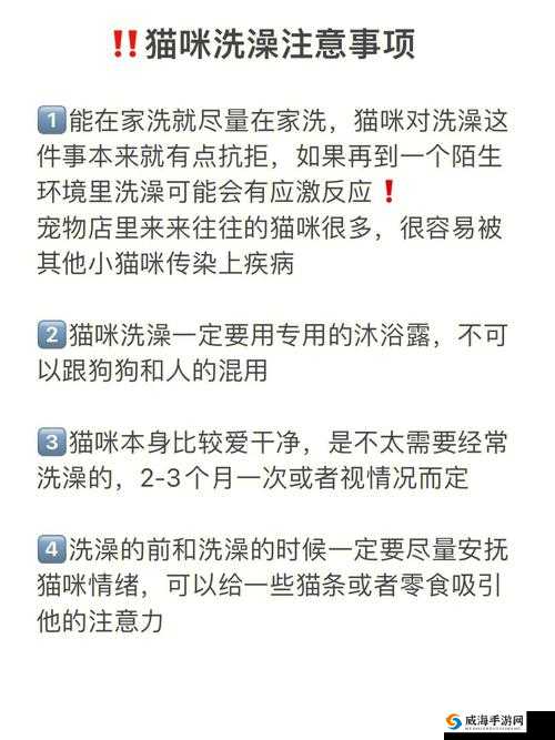 乱斗堂宠物洗技能的实用指南与技巧解析