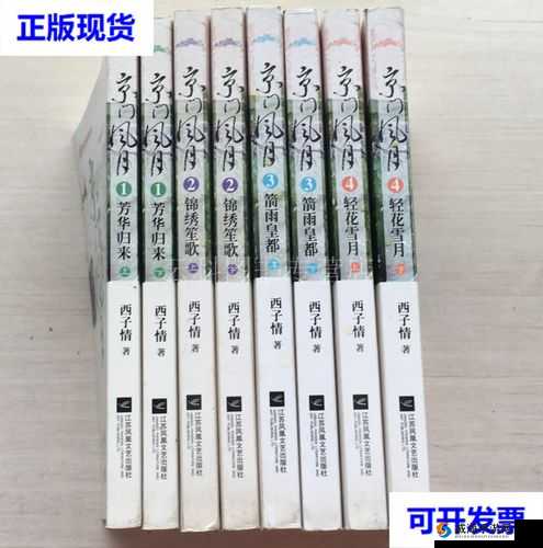 隐匿京门：暗卫系统揭秘探秘《京门风月》隐秘之章