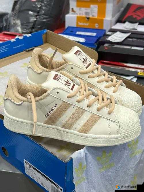三叶草 gy8566:独特的存在