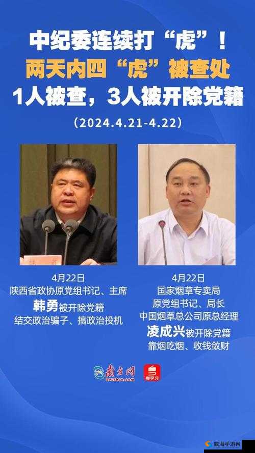4 虎网址：畅享精彩多元内容