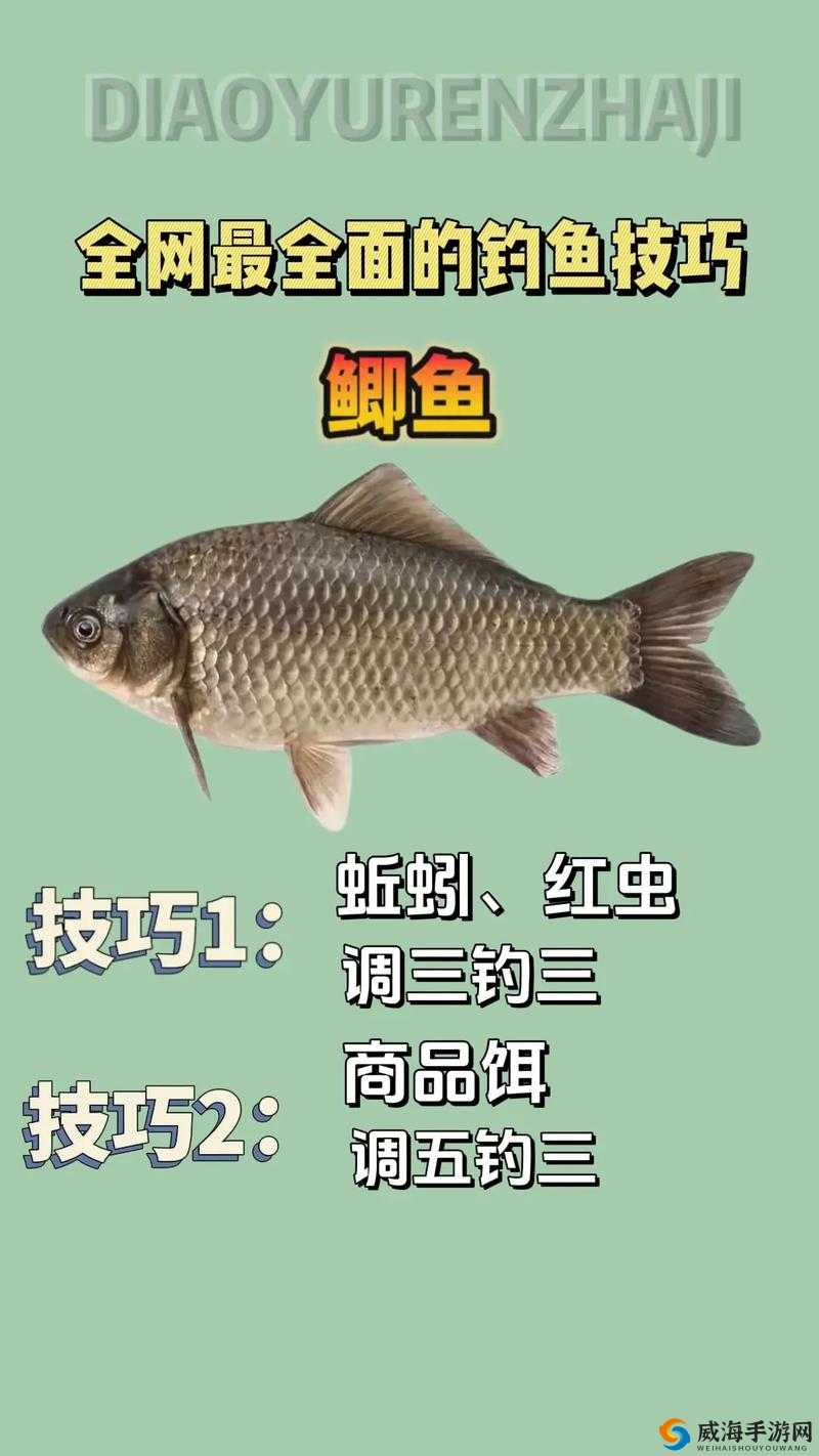 合金风暴 2 空战英豪攻略及高分技巧全面分享
