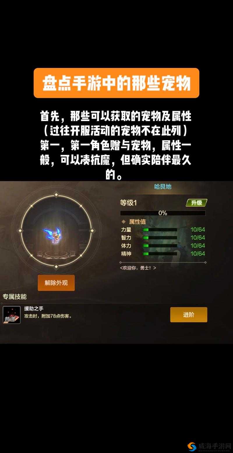 《神鬼幻想》宠物获取途径汇总