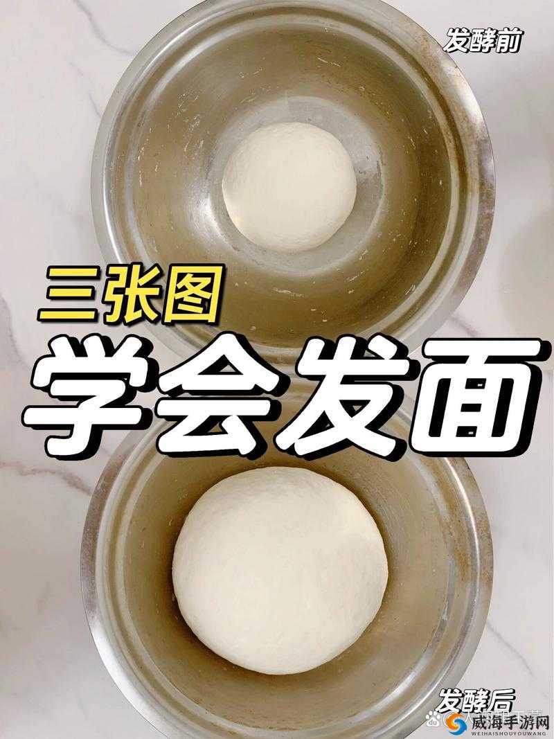 疯狂厨房 2 双人模式新手教程：快速入门指南