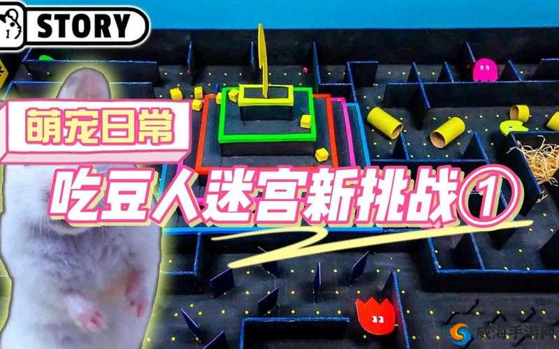 吃豆大作战战斗道具功能作用详细解析