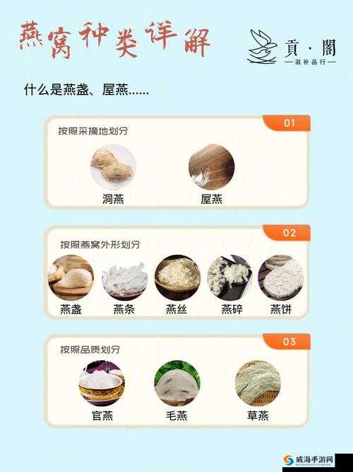 古龙群侠传 2 中燕窝八仙鸭的制作配方及方法全解析