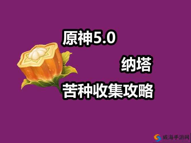 龙腾传世战士元神组合 法师选哪种元神搭配最佳